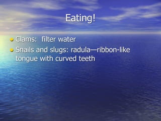 Eating!

• Clams: filter water
• Snails and slugs: radula—ribbon-like
 tongue with curved teeth
 