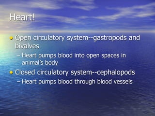 Heart!

• Open circulatory system--gastropods and
 bivalves
  – Heart pumps blood into open spaces in
    animal’s body
• Closed circulatory system--cephalopods
  – Heart pumps blood through blood vessels
 