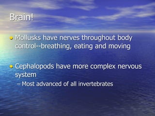 Brain!

• Mollusks have nerves throughout body
 control--breathing, eating and moving


• Cephalopods have more complex nervous
 system
  – Most advanced of all invertebrates
 