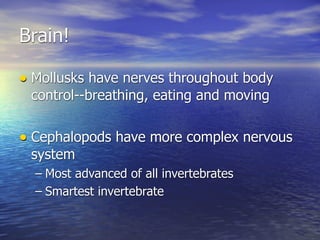 Brain!

• Mollusks have nerves throughout body
 control--breathing, eating and moving


• Cephalopods have more complex nervous
 system
  – Most advanced of all invertebrates
  – Smartest invertebrate
 