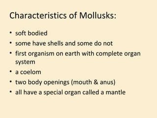 Characteristics of Mollusks: <ul><li>soft bodied </li></ul><ul><li>some have shells and some do not </li></ul><ul><li>firs...