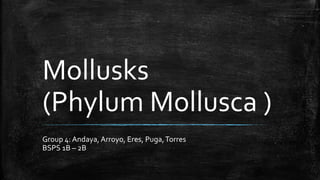 Mollusks
(Phylum Mollusca )
Group 4: Andaya, Arroyo, Eres, Puga,Torres
BSPS 1B – 2B
 