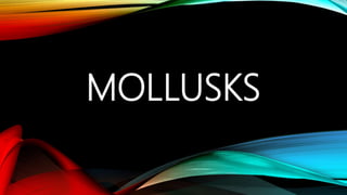 MOLLUSKS
 