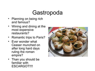 Gastropoda
• Planning on being rich
  and famous?
• Wining and dining at the
  most expensive
  restaurants?
• Romantic trips to Paris?
• Ever wonder what
  Ceaser munched on
  after long hard days
  ruling the roman
  empire?
• Than you should be
  familiar with
  ESCARGOT!!!!
 