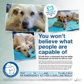 You won’t
believe what
people are
capable of
You won’tYou won’t
TEXT ‘KIND’ TO 70030 AND GIVE £3* TO HELP BUY
AN EMERGENCY KIT FOR A DOG LIKE MOLLY
*You will be charged £3 plus one message at your standard network rate. Please ensure you have the bill payer’s permission. Battersea Dogs & Cats Home will receive 100% of your donation. By using this
service, you agree that we may contact you about your gift, our work and it’s impact by phone or text in the future. If you’d rather we didn’t, text OPTOUT to 70111 or call 020 7627 7883. For full terms
and conditions visit battersea.org.uk. The contents of an emergency kit will vary depending on the circumstances of each individual animal. Battersea Dogs & Cats Home is a registered charity 206394.
£3helps buy an
emergency
kit
£3 will show a mistreated dog like Molly
that people can be kind as well as cruel
When Molly came to Battersea, she was sick, starving and afraid. She had
been cruelly abandoned by her owners. Thankfully, we were able to give Molly
the urgent medical care she needed and show her the love she’d been denied.
Will you give £3 to help another unloved and abandoned dog like Molly?
Your gift will help buy an emergency kit, which could include bandages
or vaccines to help a dog who has suﬀered abuse or neglect. Your gift
would let them see the love and kindness people are capable of.
 