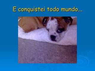 E conquistei todo mundo... 