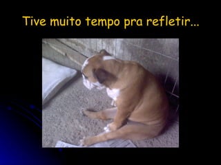 Tive muito tempo pra refletir... 