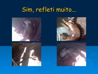 Sim, refleti muito... 