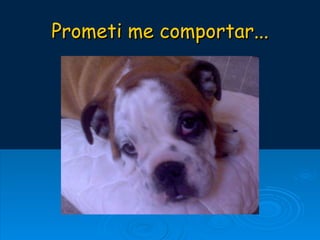 Prometi me comportar... 