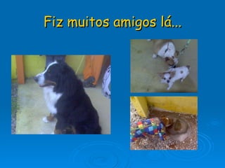 Fiz muitos amigos lá... 