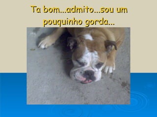 Ta bom...admito...sou um pouquinho gorda... 