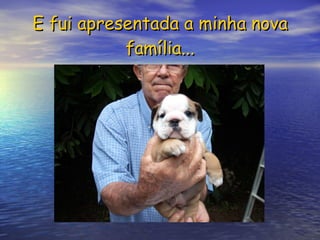 E fui apresentada a minha nova família... 