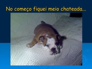 No começo fiquei meio chateada... 