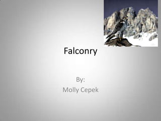 Falconry

    By:
Molly Cepek
 