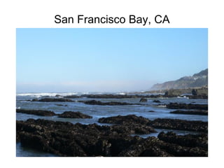 San Francisco Bay, CA
 