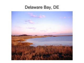 Delaware Bay, DE
 