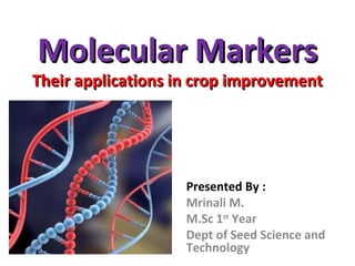 Molecular MarkersMolecular Markers
Their applications in crop improvementTheir applications in crop improvement
Presented By :
Mrinali M.
M.Sc 1st
Year
Dept of Seed Science and
Technology
 