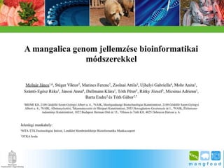 BpSM 2014.03. - Molnár János: A mangalica genom jellemzése bioinformatikai módszerekkel