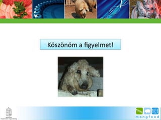 BpSM 2014.03. - Molnár János: A mangalica genom jellemzése bioinformatikai módszerekkel