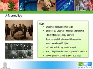 BpSM 2014.03. - Molnár János: A mangalica genom jellemzése bioinformatikai módszerekkel