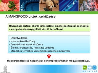 BpSM 2014.03. - Molnár János: A mangalica genom jellemzése bioinformatikai módszerekkel