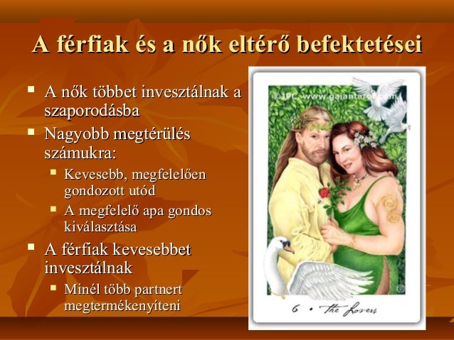 Online társkereső bern