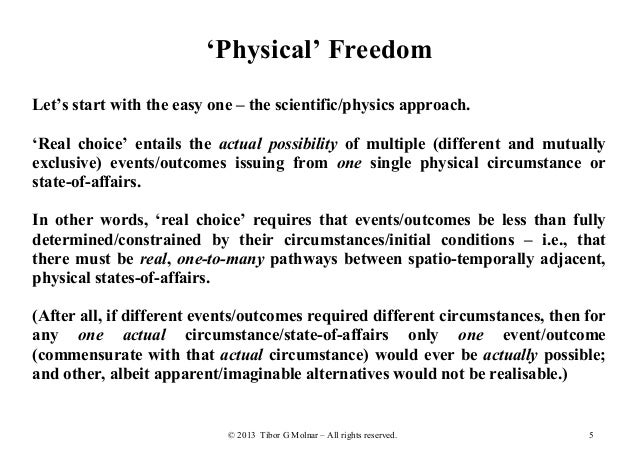 American freedom essay image