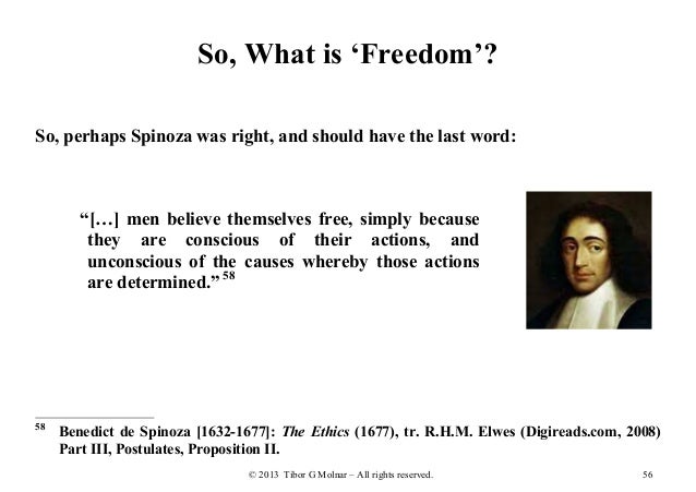 Freedom essay examples image