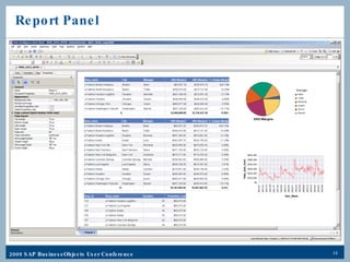 Report Panel 