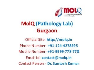 MolQ (Pathology Lab)
Gurgaon
Official Site- http://molq.in
Phone Number- +91-124-4278595
Mobile Number- +91-9999-778-778
Email Id- contact@molq.in
Contact Person - Dr. Santosh Kumar
 