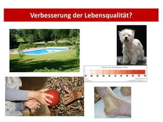 Verbesserung der Lebensqualität? 