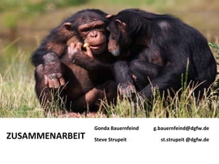 ZUSAMMENARBEIT Gonda Bauernfeind   [email_address] Steve Strupeit st.strupeit @dgfw.de 