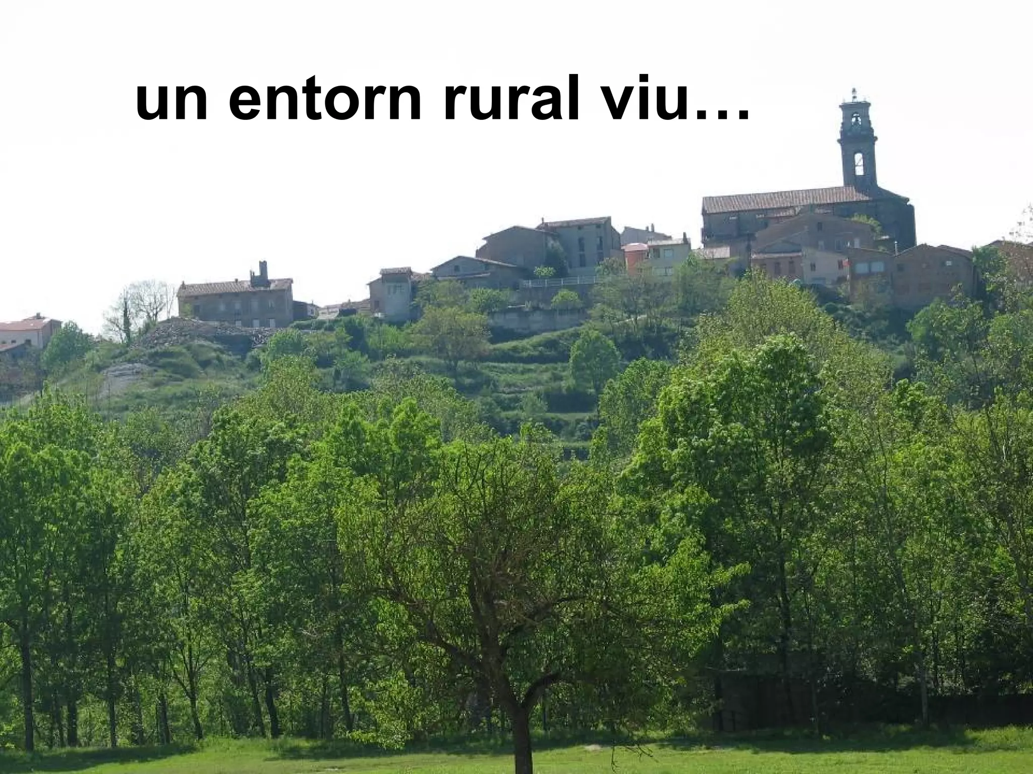 un entorn rural viu…
 