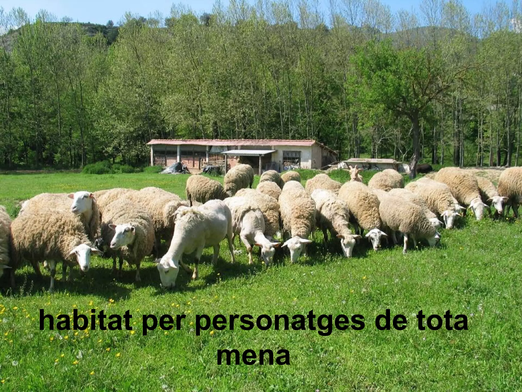 habitat per personatges de tota
             mena
 