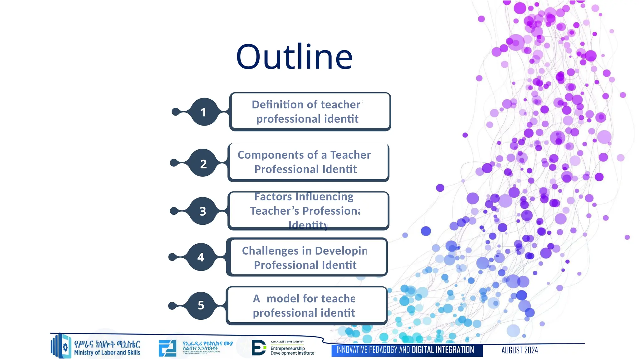 Mols A Teacher S Professional Identity Ppt Pptx