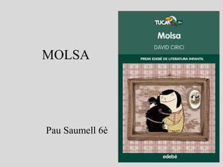 MOLSA 
Pau Saumell 6è 
 