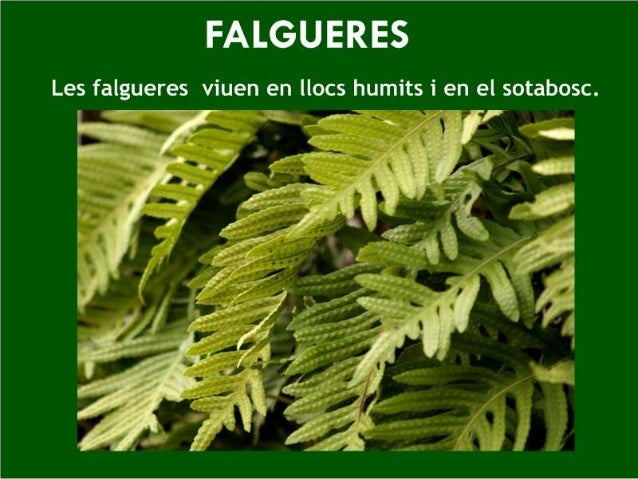 Imagen relacionada