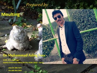 Preparedby
Dr MuhammadAshiq Toor
DVM , B s c (Zoology)
Islamia University of Bahawal Pur (IUB) (2010 – 2015)
+92-344-499-7375
+92-300-364-2402
Moulting
 