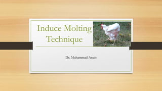 Induce Molting
Technique
Dr. Muhammad Awais
 