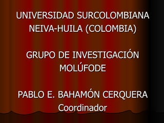 UNIVERSIDAD SURCOLOMBIANA NEIVA-HUILA (COLOMBIA) GRUPO DE INVESTIGACIÓN MOLÚFODE PABLO E. BAHAMÓN CERQUERA  Coordinador 