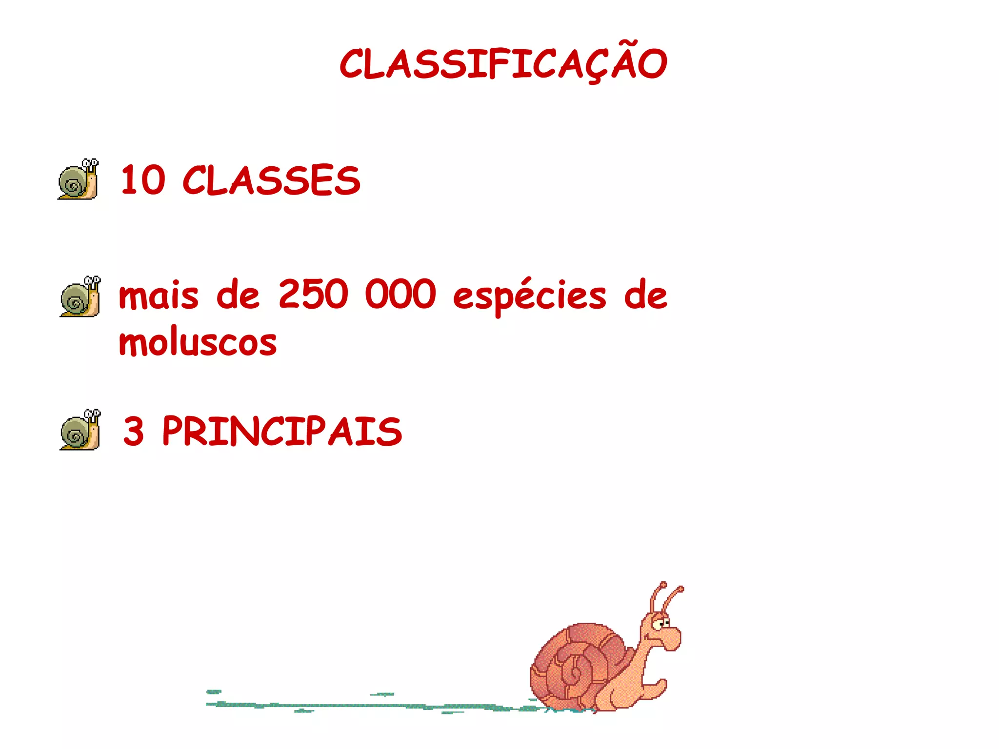 CLASSIFICAÇÃO 10 CLASSES mais de 250 000 espécies de moluscos 3 PRINCIPAIS 