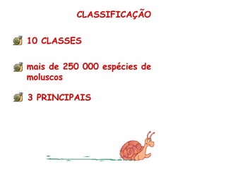 CLASSIFICAÇÃO 10 CLASSES mais de 250 000 espécies de moluscos 3 PRINCIPAIS