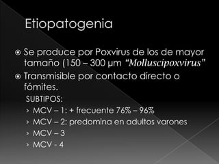  Se produce por Poxvirus de los de mayor
  tamaño (150 – 300 µm “Molluscipoxvirus”
 Transmisible por contacto directo o
  fómites.
    SUBTIPOS:
    › MCV – 1: + frecuente 76% – 96%
    › MCV – 2: predomina en adultos varones
    › MCV – 3
    › MCV - 4
 