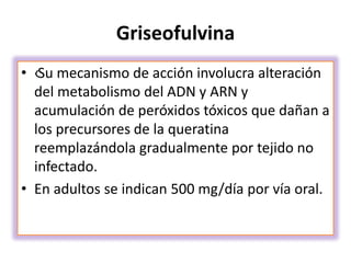 Griseofulvina
• ‹Su mecanismo de acción involucra alteración
del metabolismo del ADN y ARN y
acumulación de peróxidos tóxicos que dañan a
los precursores de la queratina
reemplazándola gradualmente por tejido no
infectado.
• En adultos se indican 500 mg/día por vía oral.
 