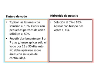 Tintura de yodo
• Topicar las lesiones con
solución al 10%. Cubrir con
pequeños parches de ácido
salicílico al 50%
• Repetir diariamente por 3 a
7 días y, luego aplicar sólo el
yodo por 25 a 30 días más.
No debe aplicarse sobre
áreas con solución de
continuidad.
Hidróxido de potasio
• Solución al 5% o 10%.
Aplicar con hisopo dos
veces al día.
 