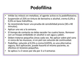 Podofilina
• Inhibe las mitosis en metafase, el agente activo es la podofilotoxina.
• Suspensión al 25% en tintura de benzoína o alcohol, crema 0,3% y
0,5% en base hidrofílica.
• Se recomienda hacer una prueba de sensibilidad previa (30 a 40
minutos).
• Aplicar una vez a la semana.
• El tiempo de contacto no debe exceder las cuatro horas. Remover
con un hisopo embebido en alcohol o con agua y jabón.
• Deben tratarse pequeñas áreas cada vez. No aplicar sobre piel sana
ni cerca de las mucosas, ni en piel con solución de continuidad.
• Podofilox: solución al 0,5% o crema 0,025%, es una alternativa
segura, fácil aplicación, puede hacerlo el mismo paciente, es
efectiva en lesiones pequeñas.
• Se aplica 2 a 3 veces por día por 3 a 4 semanas
 