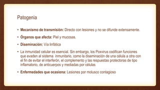Patogenia
• Mecanismo de transmisión: Directo con lesiones y no se difunde extensamente.
• Órganos que afecta: Piel y mucosas.
• Diseminación: Vía linfática
• La inmunidad celular es esencial. Sin embargo, los Poxvirus codifican funciones
que evaden al sistema inmunitario, como la diseminación de una célula a otra con
el fin de evitar el interferón, el complemento y las respuestas protectoras de tipo
inflamatorio, de anticuerpos y mediadas por células
• Enfermedades que ocasiona: Lesiones por molusco contagioso
 