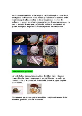 importantes colecciones malacológicas y conquiliológicas tanto de de
prestigiosas instituciones como museos y academias de ciencias como
colecciones privadas, aun hoy en día el coleccionar conchas de
moluscos es uno de los principales pasatiempos de muchas personas en
todo el mundo. Debido a esta afición los moluscos son unos de los
grupos zoológicos mejor estudiados después de los vertebrados.




Características generales:

La variedad de formas, tamaños, tipos de vida y ciclos vitales es
extraordinaria; basta con comparar un mejillón, un caracol y un
calamar. Pero la organización de todos los moluscos sigue un plan
fundamental.




El celoma en los adultos queda reducido a vestigios alrededor de los
nefridios, gónadas, corazón e intestino.
 