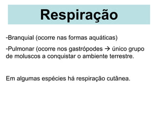 Respiração Branquial (ocorre nas formas aquáticas)  Pulmonar (ocorre nos gastrópodes    único grupo de moluscos a conquistar o ambiente terrestre.  Em algumas espécies há respiração cutânea. 