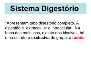 Sistema Digestório  *Apresentam tubo digestório completo. A digestão é  extracelular e intracelular.  Na boca dos moluscos, exceto dos bivalves, há uma estrutura  exclusiva  do grupo: a  rádula .  